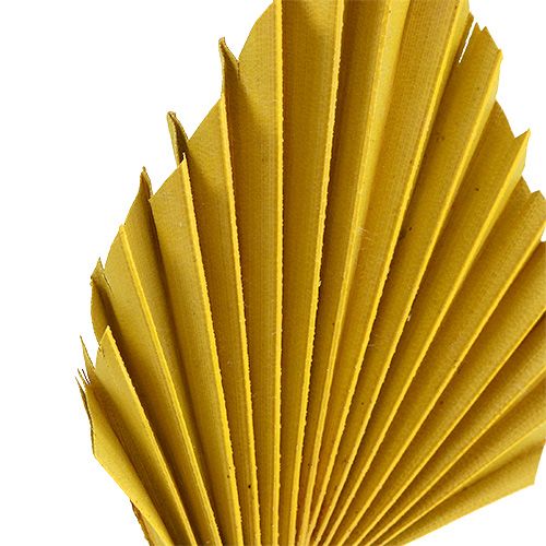 položky Palmový oštep žltý 65ks