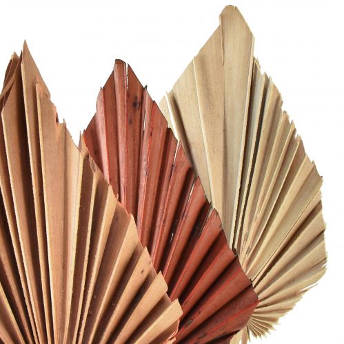 položky Palmspear mini rôzne Maroko 30 ks