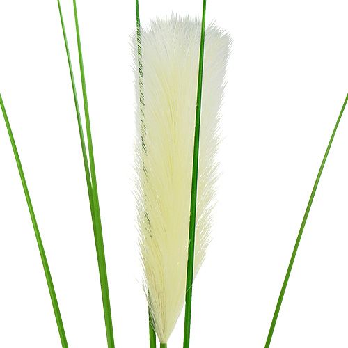 položky List trávy pampový krémovo-zelený V100cm