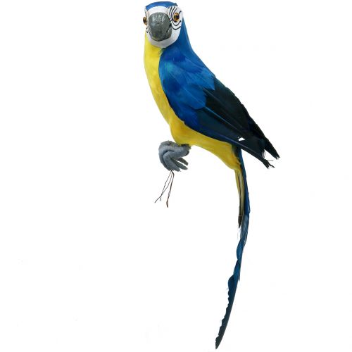 Floristik24 Deco papagáj modrý 44cm