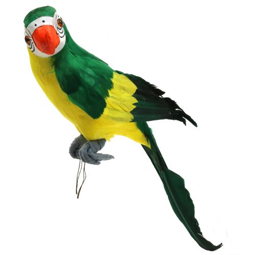 Floristik24 Deco papagáj zelený 44cm