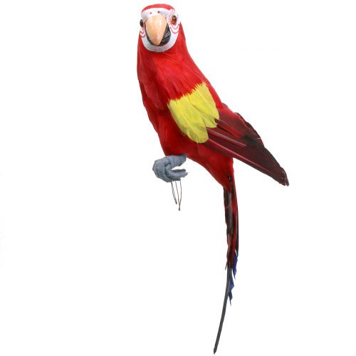 Floristik24 Deco papagáj červený 44cm