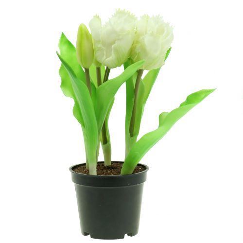 Floristik24 Papagájový tulipán v črepníku biely Real-Touch 23cm