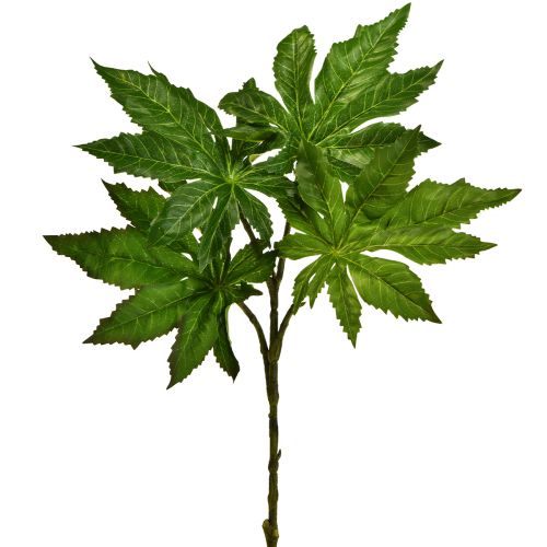 Floristik24 Listy papáje umelá deko vetvička umelá rastlina zelená 40cm