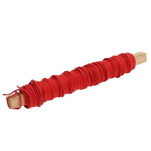 Floristik24 Papierová šnúra omotaná drôtom Ø0,8mm 22m červená