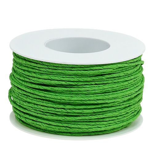 Floristik24 Papierová šnúra omotaná drôtom Ø2mm 100m jablkovo zelená