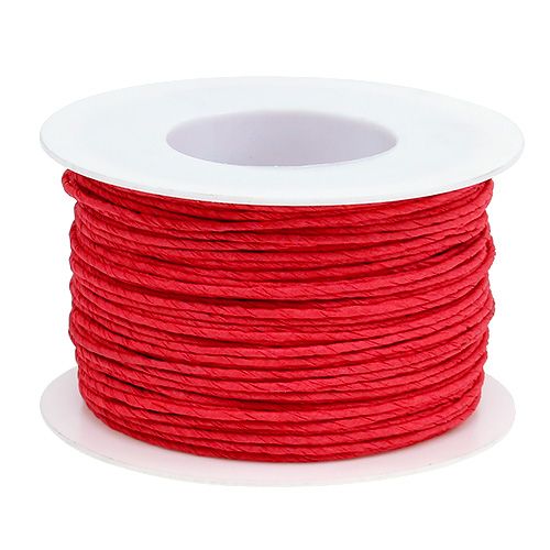 Floristik24 Papierová šnúra omotaná drôtom Ø2mm 100m červená