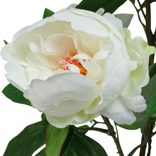 položky Paeonia umelá, pivonka v črepníku, ozdobná rastlina biele kvety V57cm