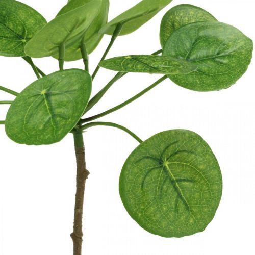 položky Peperomia Umelá zelená rastlina s listami 30cm