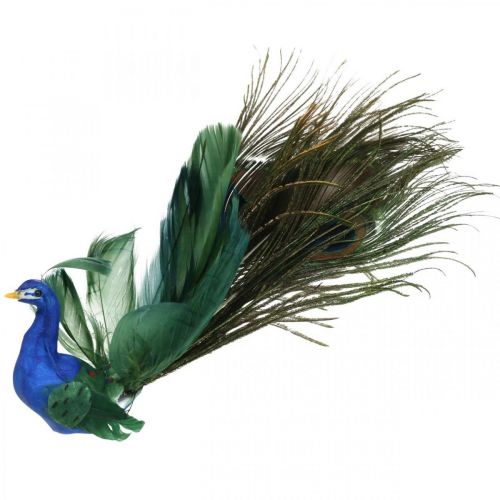 Floristik24 Rajka, páv na svorku, vtáčik z peria, ozdoba vtáčik modrá, zelená, farebná V8,5 L29cm