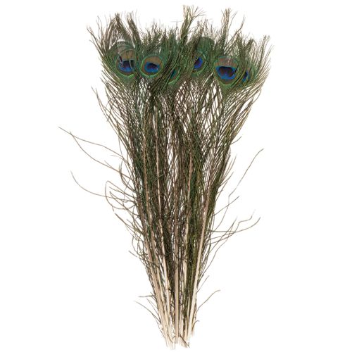 položky Pávie pierka, pravé vtáčie pierka na tvorenie a zdobenie, 55 cm, 10 kusov