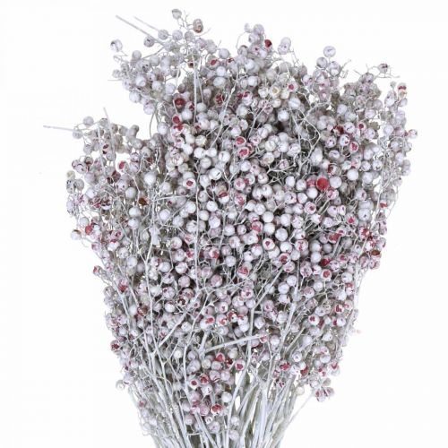 Floristik24 Bobule nasneženej papriky, zimná dekorácia, sušené kvety, advent, ružové korenie biele umývané 170g