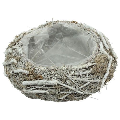 Floristik24 Miska na rastliny sivá Ø25cm