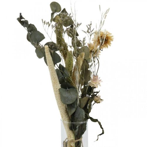 Kytica sušených kvetov eukalyptus sada suchého kvetinárstva V30-35cm