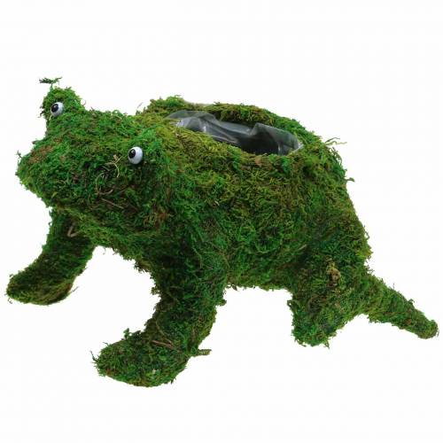 Kvetináč žaba s machovou zelenou 35×25cm V21cm