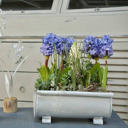 Floristik24 Odkvap na kvetináč 25 cm