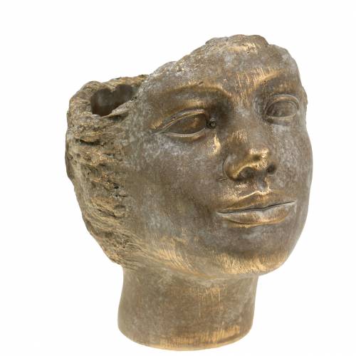 Floristik24 Hlava rastliny poprsie zlaté V20cm