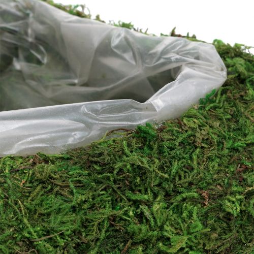 Floristik24 Rastlinný srdiečkový mach 28cm x 23cm