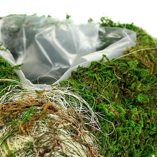 Floristik24 Rastlinný srdiečkový mach 35cm x 25cm