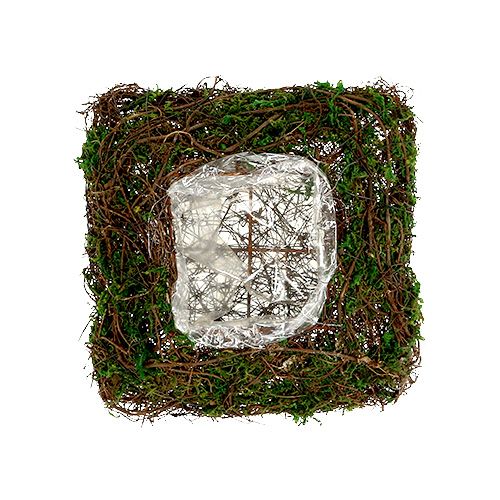 Floristik24 Rastlinný vankúš viniča, mach 22 cm x 22 cm V7,5 cm