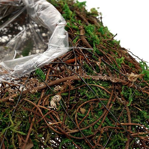 Floristik24 Rastlinný vankúš viniča, mach 22 cm x 22 cm V7,5 cm