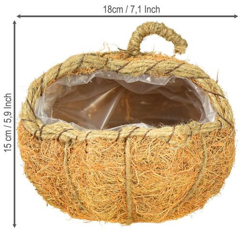 položky Tekvicový košík s fóliou, jesenná dekorácia oranžová Ø18cm V15cm
