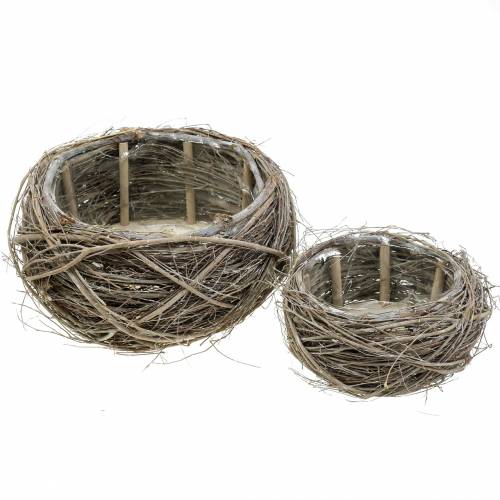 Floristik24 Kôš na rastliny vinič a konáre biele umyté Ø37/28cm sada 2 ks