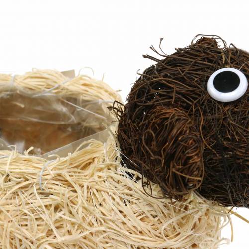 položky Rastlinný črepník ovčia vínna réva hnedá bielená 35×14cm V26cm