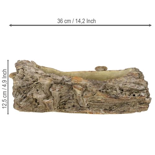 položky Kvetináč z liateho kameňa, kmeň stromu s hubami 36×18×12,5 cm