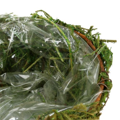 Floristik24 Miska na rastliny s machom Ø16cm V9cm - 10cm Zelená 3ks