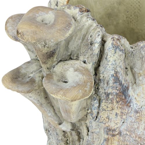 položky Kvetináč z liateho kameňa s hubami, pník, 16 cm