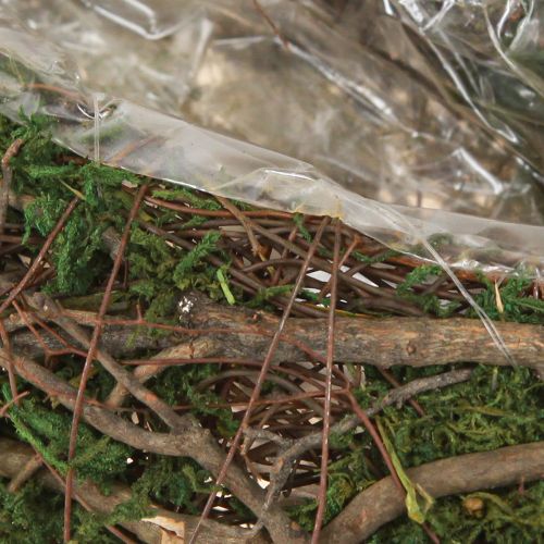 Floristik24 Malá miska Plant Wave Vines s machom 31 × 15 × 7 cm