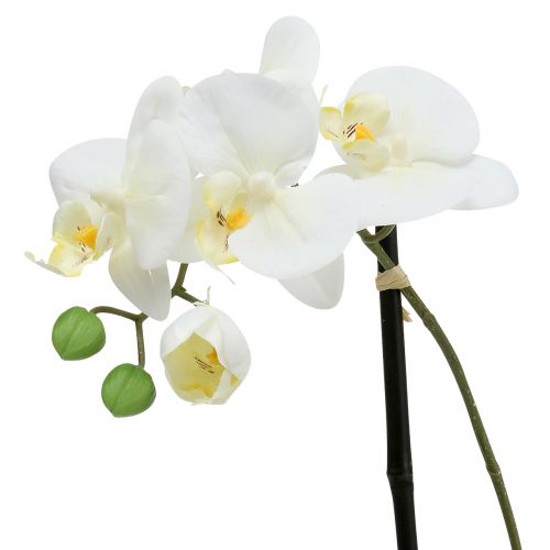 položky Phalaenopsis biela v miske kvetinová dekorácia V38cm