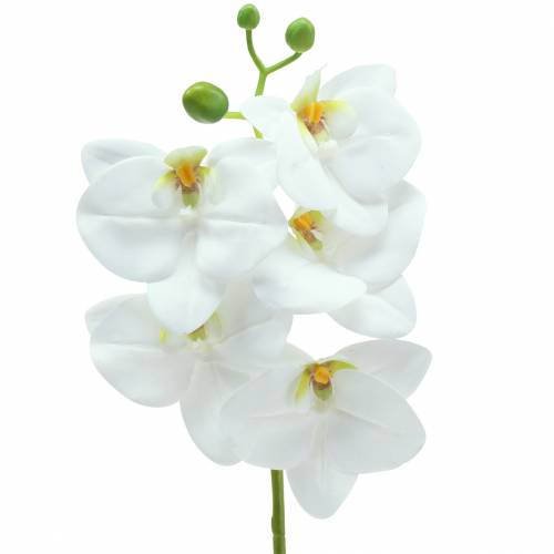 Floristik24 Umelá vetvička orchidey Phaelaenopsis White H49cm