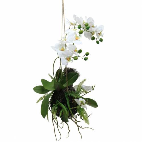 položky Orchidea s papraďou a machovými guličkami umelá biela závesná 64cm