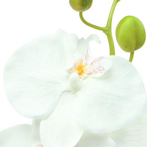 položky Orchidea Phalaenopsis umelá biela 80cm