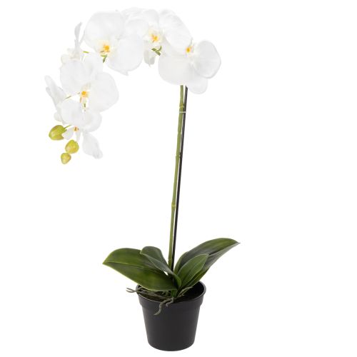 Umelá orchidea, klamlivo realistická, do kancelárie a obývačky, 62 cm