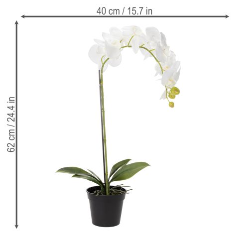 položky Umelá orchidea, klamlivo realistická, do kancelárie a obývačky, 62 cm