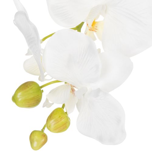 položky Umelá orchidea, klamlivo realistická, do kancelárie a obývačky, 62 cm