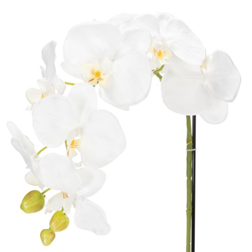 položky Umelá orchidea, klamlivo realistická, do kancelárie a obývačky, 62 cm