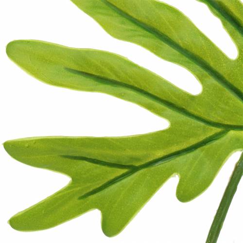 položky Filodendron list zelený 40 cm