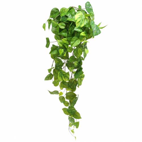 Floristik24 Vešiak filodendron 80cm