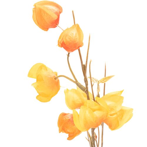 Umelá rastlina čínskeho lampióna, vetvička Physalis s kvetmi, 95 cm | Floristik24.sk