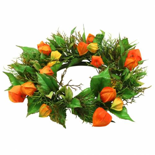 Umelý veniec z Physalis, oranžový a zelený, Ø28cm, jesenná dekorácia | Floristik24.sk
