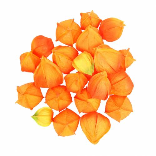 Physalis Orange Assorted 22ks dekoratívnych umelých kvetinových kalichov