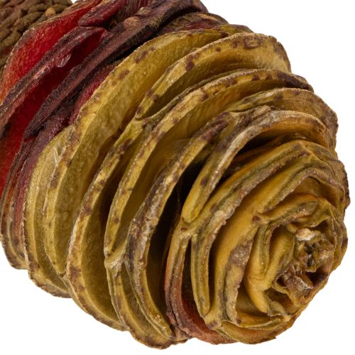 položky Platyspermum krém 1-3, 50 hláv