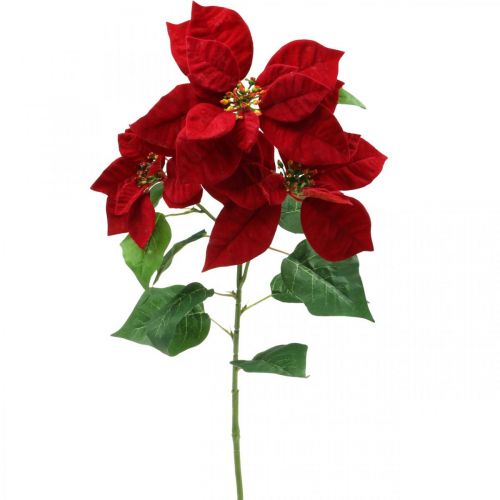 Floristik24 Umelá vianočná hviezda červený stonkový kvet 3 kvety 85cm