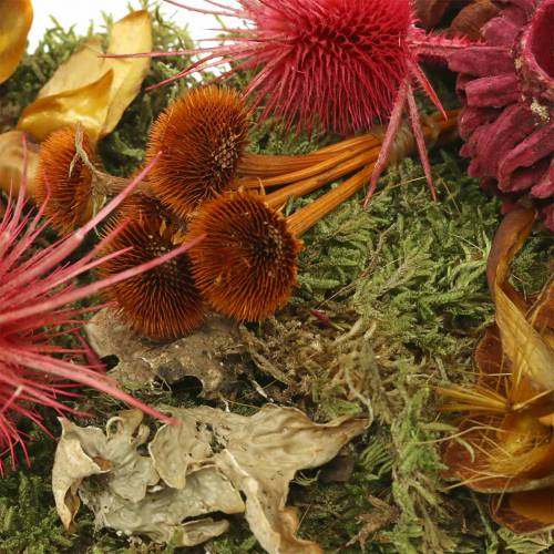 položky Suchý kvetinový mix so šiškami a machovou červenou 150g jesennou dekoráciou