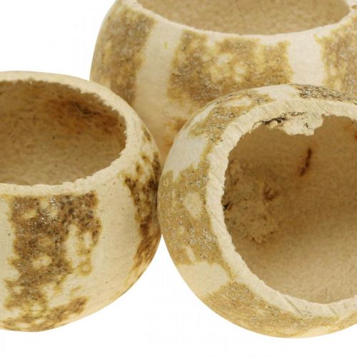 položky Tekvicová dekorácia Bell Cup Pumpkin Cup bielená 50 ks