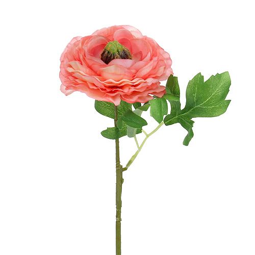 položky Ranunculus ružovo-ružový 27cm 8ks